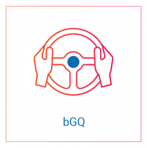Icon bGQ
