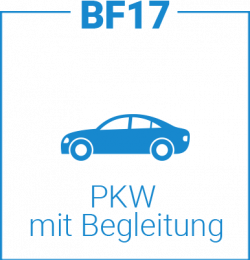 Icon Auto begleitetes Fahren mit 17
